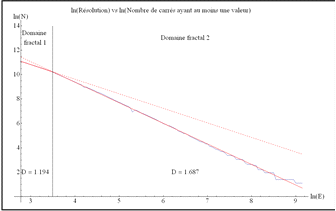 Estimation par une loi de transition fractal - fractal du modèle par la méthode du comptage de boîtes carrées