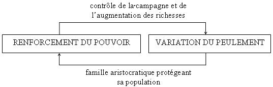 La boucle optimale de l'émergence d'entités de la société féodale (X<sup>e</sup> siècle)